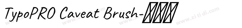 TypoPRO Caveat Brush字体转换